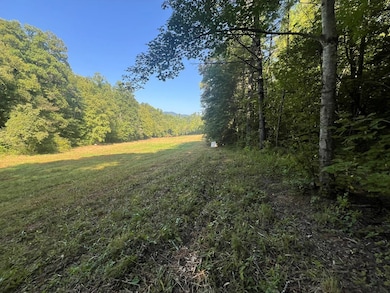 0 R J Mountain View Dr unit 420652, Murphy, NC 28906 - photo 2