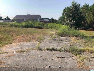 961 6th St unit 1, Pleasant Grove, AL 35127 - photo 7