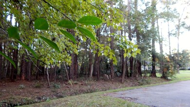 0 Rosedale Ln unit 800887, Jacksonville, FL 32244 - photo 5