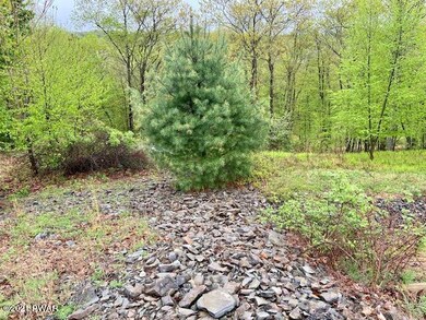 0 Azure Ct 561 Ct unit 21-1481, East Stroudsburg, PA 18301 - photo 3