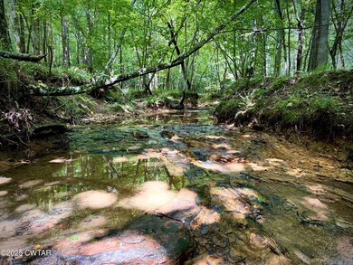 Photo Jul 10 2025, 10 51 12 AM