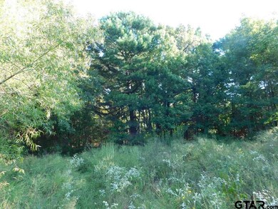 2836 Roy Rd, Tyler, TX 75791 - photo 7