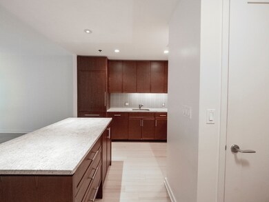 Millenium Place unit 410, Boston, MA 02111 - photo 5