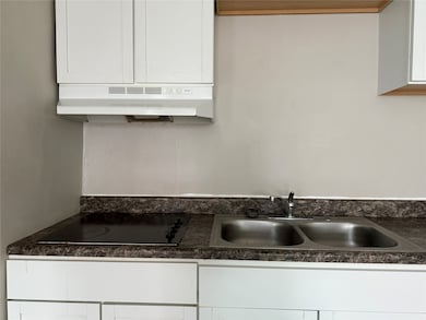 Closer look of the electric cook top and vent hood