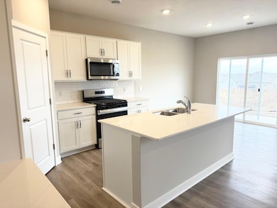 474 Blueridge St SW, Delano, MN 55328 - photo 3