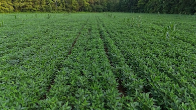 0 Ready Rd unit LotWP002 24349623, Caneyville, KY 42721 - photo 2