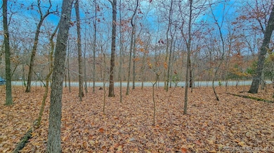 Lot #302 Lake Dr, Jasper Township, MO 65079 - photo 6