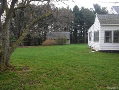 Backyard.