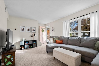 Living room with carpet floors, healthy amount of natural light, and a textured ceiling