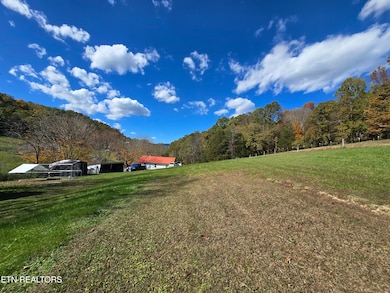 1085 Lick Branch Rd, Ewing, VA 24248 - photo 6