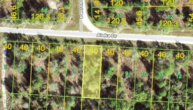 27191 Aloha Dr, Punta Gorda, FL 33955 - photo 2