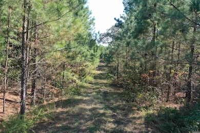 0000 Armstrong Rd, Pangburn, AR 72121 - photo 7