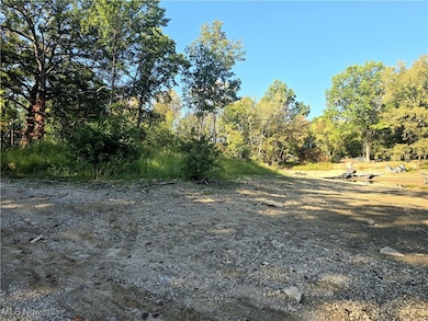 10745 Leffingwell Rd, North Benton, OH 44449 - photo 3