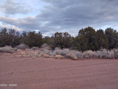 IMG_20210215_174017494