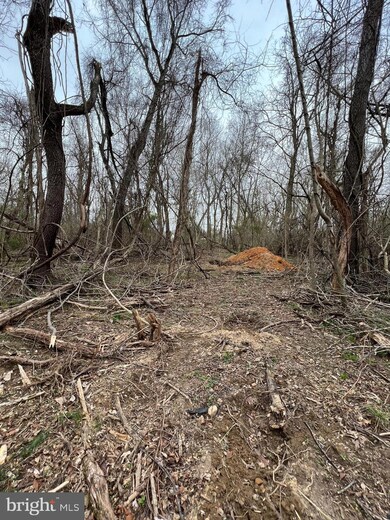 0 Briar Trail unit WVJF2002824, Harpers Ferry, WV 25425 - photo 4