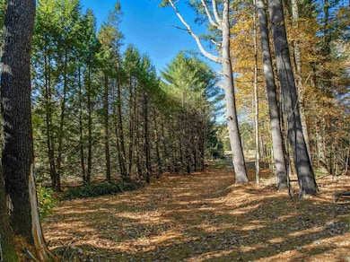 115 Adams Farm Rd, Thornton, NH 03285 - photo 2