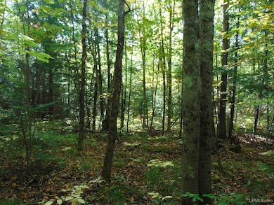 TBD 1 Moore Rd, Bessemer, MI 49911 - photo 6