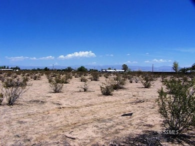 352-390-06 Jujube, Inyokern, CA 93527 - photo 6