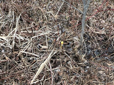 011-010.2 Monument Rd, Amity, ME 04471 - photo 5