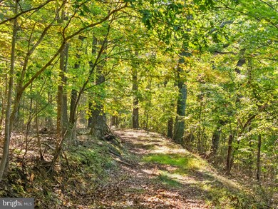 9533 Howellsville Rd, Boyce, VA 22620 - photo 4