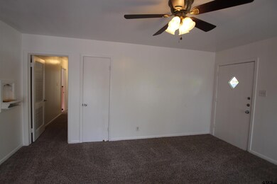 427 E Hudson St, Tyler, TX 75701 - photo 4