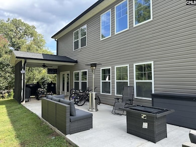 524 Triumph Rd, Chapin, SC 29036 - photo 4