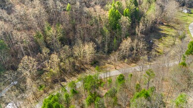 DJI_20250322163249_0006_D
