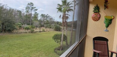 View of grassy yard