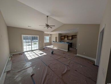 TBD 4 Mineral Springs Rd, Conway, SC 29527 - photo 4