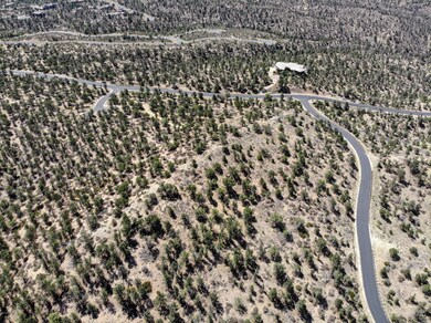DJI_0136