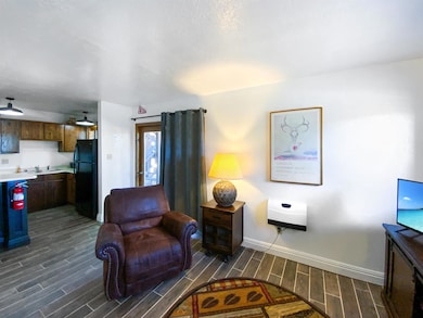 20 Squaw Valley Ln unit 301, Angel Fire, NM 87710 - photo 4