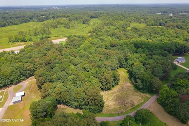 0 Hwy 22 unit 2503448, Dresden, TN 38225 - photo 2