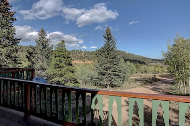 255 Saddlestring Rd, Bailey, CO 80421 - photo 6