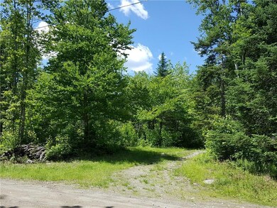 Potential driveway