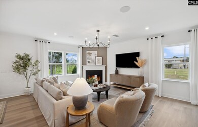 345 Mont Haven Place, Lexington, SC 29072 - photo 4