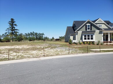 1334 Cross Water Cir, Leland, NC 28451 - photo 3