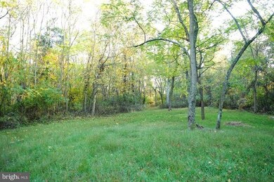 63 Wild Turkey Ln, Amissville, VA 20106 - photo 6