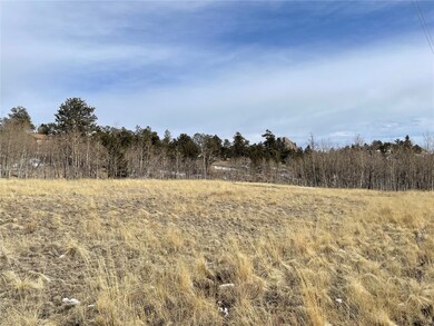 1241 Kiowa St, Como, CO 80432 - photo 6