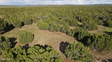 DJI_0082