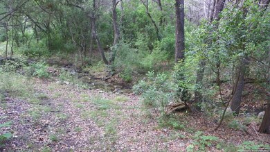 17320 Rd, Helotes, TX 78023 - photo 7