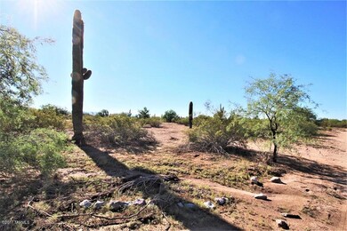 End Of E Sianna Dr E, Marana, AZ 85658 - photo 5