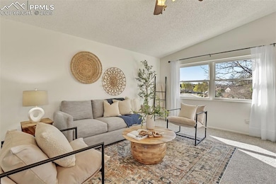 Open Living Room with new carpet