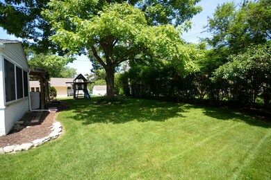 Expansive Rear Yard
