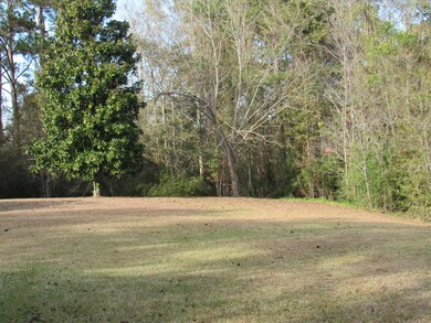chateau back yard