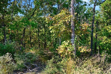 View of nature