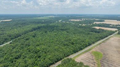 HWY 19 U S Highway 19, Camilla, GA 31730 - photo 4