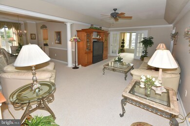 8615 Fluttering Leaf Trail unit 203, Odenton, MD 21113 - photo 4
