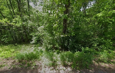 0 Tranquility Way, Smithville, TN 37166 - photo 2