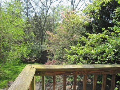 Yard/Garden.