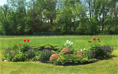Iris peonies meadow